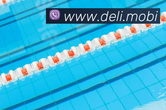 半岛官网首页平台生态图