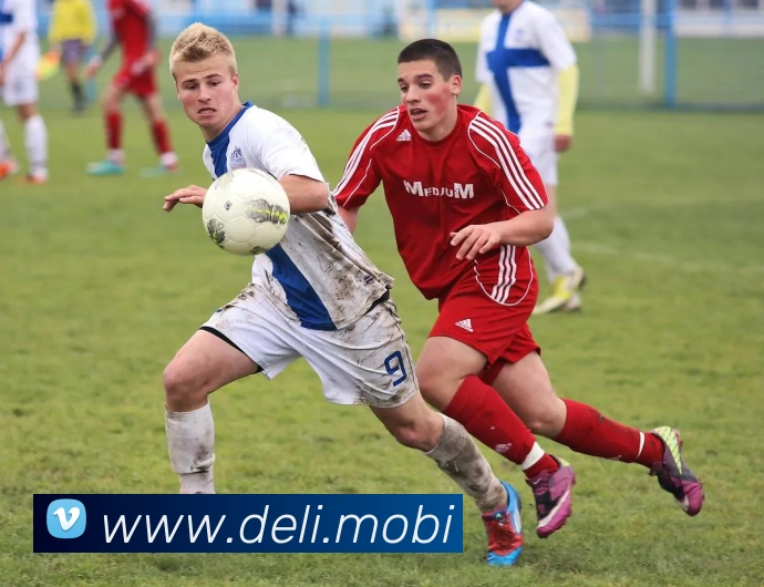 半岛官网首页全站App